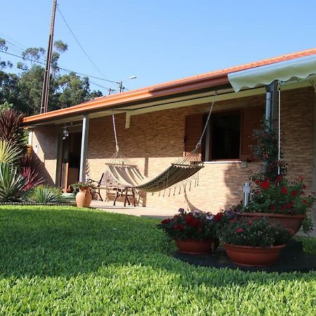 Casa Flor Da Laranjeira Guest House Ponte de Lima Eksteriør bilde